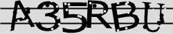Retype the CAPTCHA code from the image
