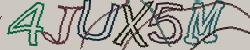 Retype the CAPTCHA code from the image