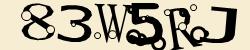 Retype the CAPTCHA code from the image