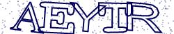 Retype the CAPTCHA code from the image
