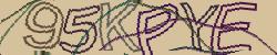 Retype the CAPTCHA code from the image