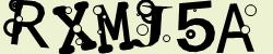 Retype the CAPTCHA code from the image