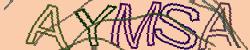 Retype the CAPTCHA code from the image