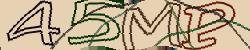 Retype the CAPTCHA code from the image