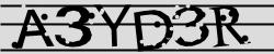 Retype the CAPTCHA code from the image