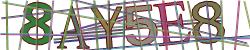 Retype the CAPTCHA code from the image