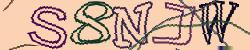 Retype the CAPTCHA code from the image
