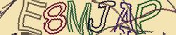 Retype the CAPTCHA code from the image