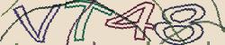 Retype the CAPTCHA code from the image