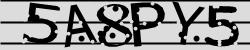 Retype the CAPTCHA code from the image