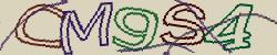 Retype the CAPTCHA code from the image