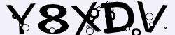 Retype the CAPTCHA code from the image