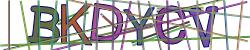 Retype the CAPTCHA code from the image