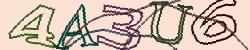 Retype the CAPTCHA code from the image