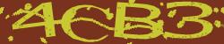 Retype the CAPTCHA code from the image