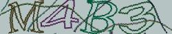 Retype the CAPTCHA code from the image
