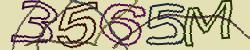 Retype the CAPTCHA code from the image