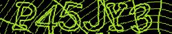 Retype the CAPTCHA code from the image