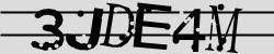 Retype the CAPTCHA code from the image